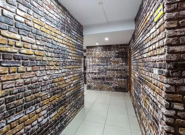 Zeytinalanı İnşaat Taş Duvarcısı